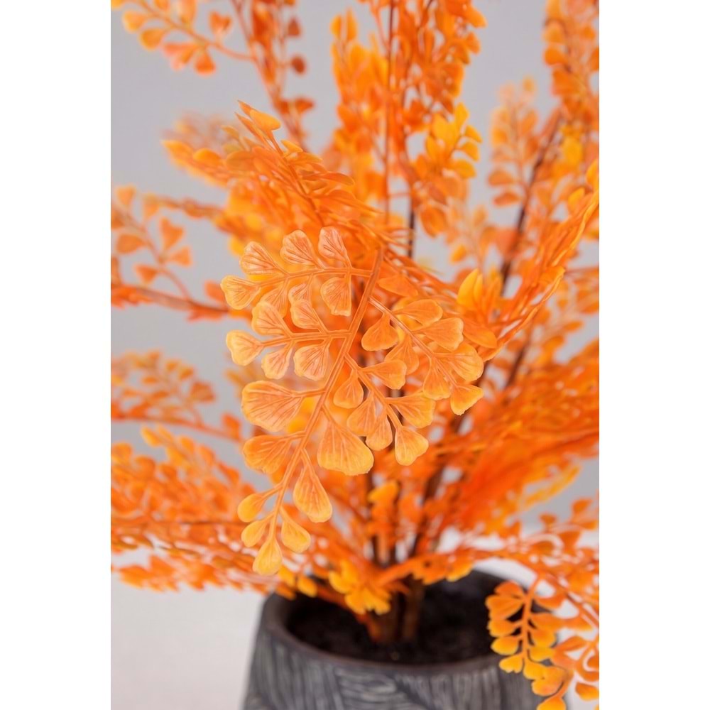60 CM DEMET BİTKİ