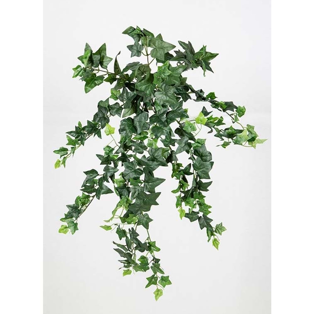 78 CM HEDERA SARMAŞIK