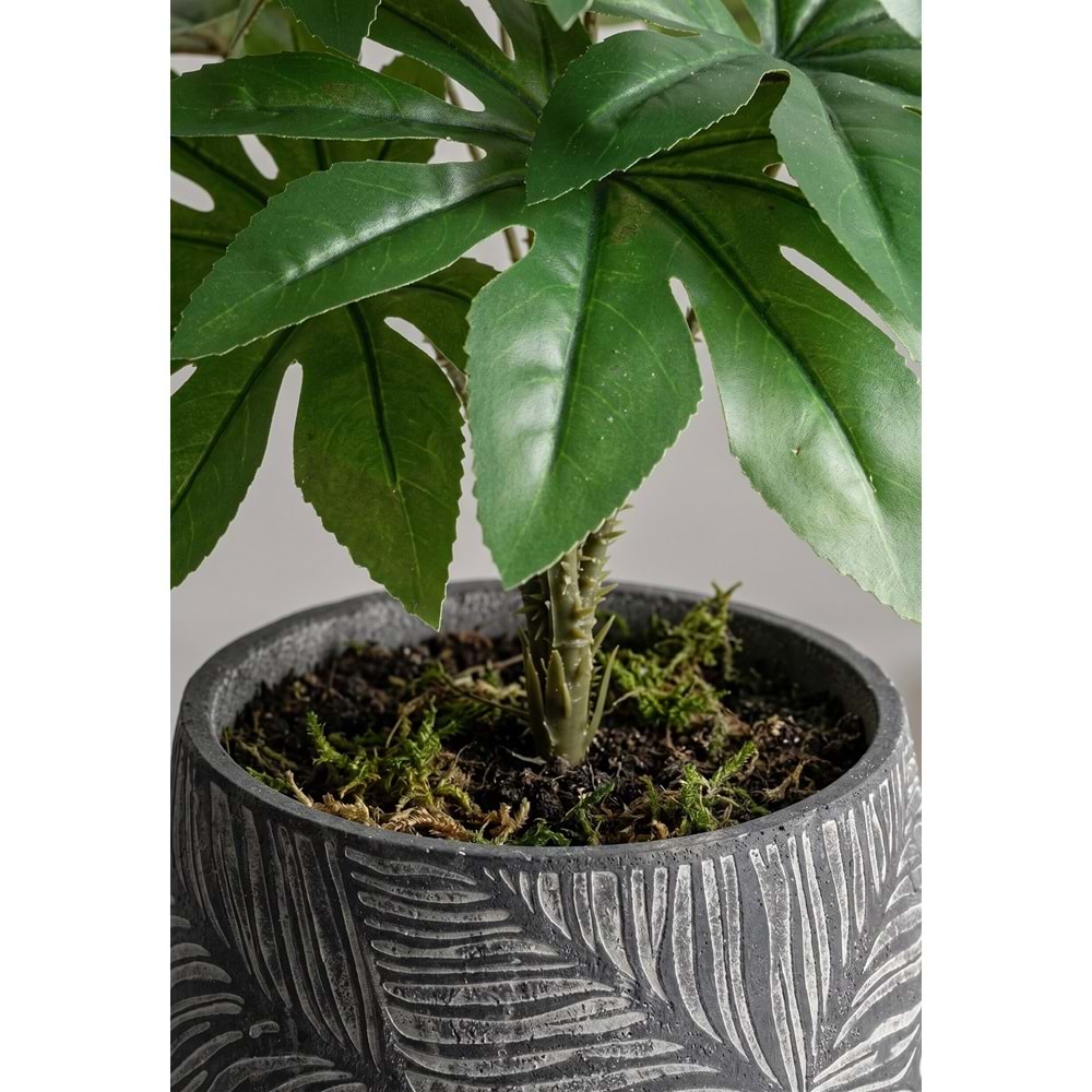 48 CM FATSIA
