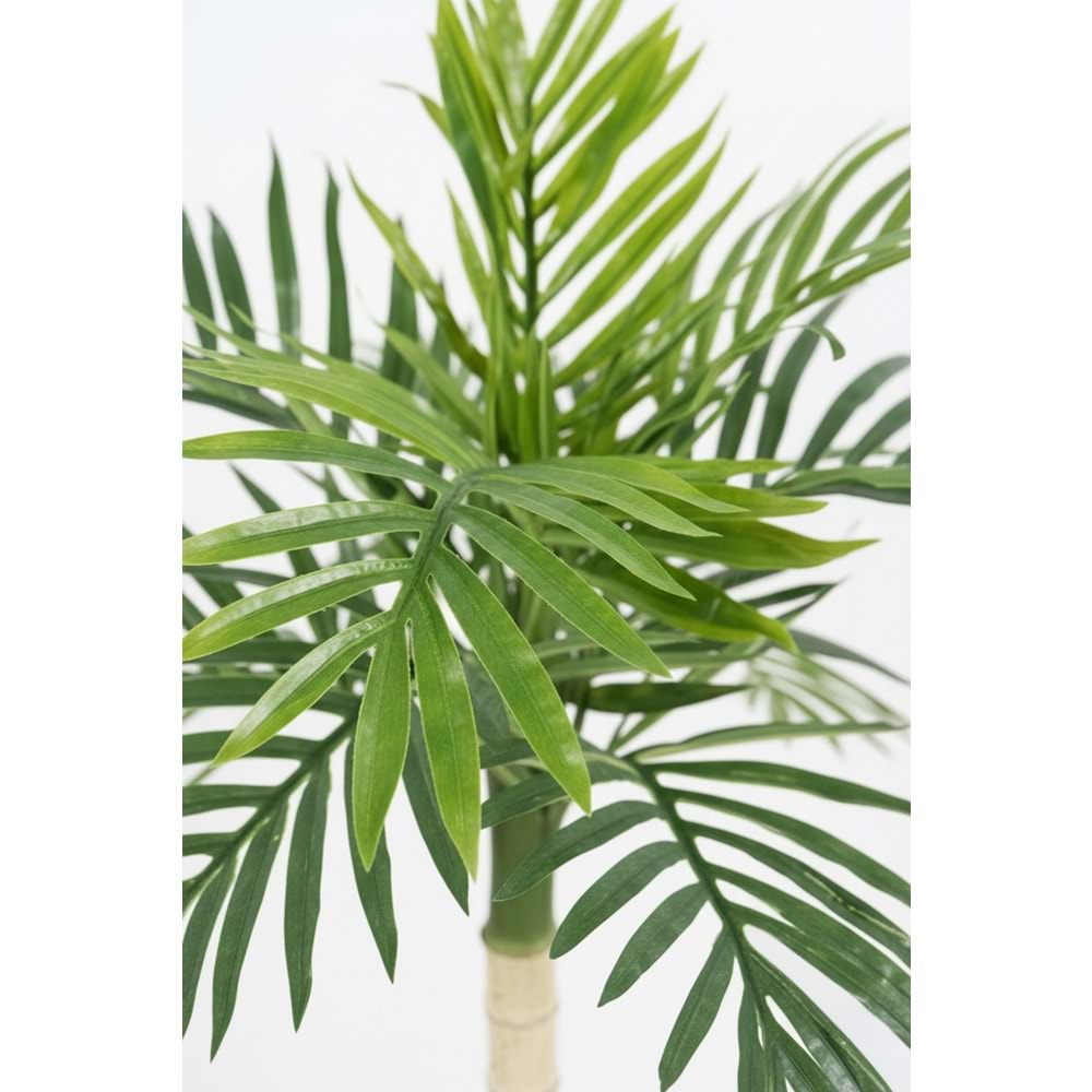 100 CM MİNİ PALMİYE