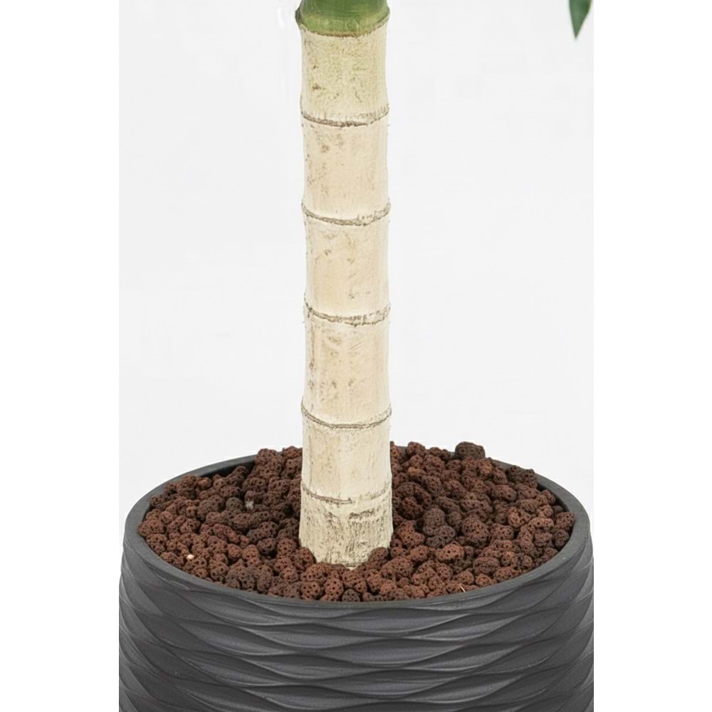 100 CM MİNİ PALMİYE