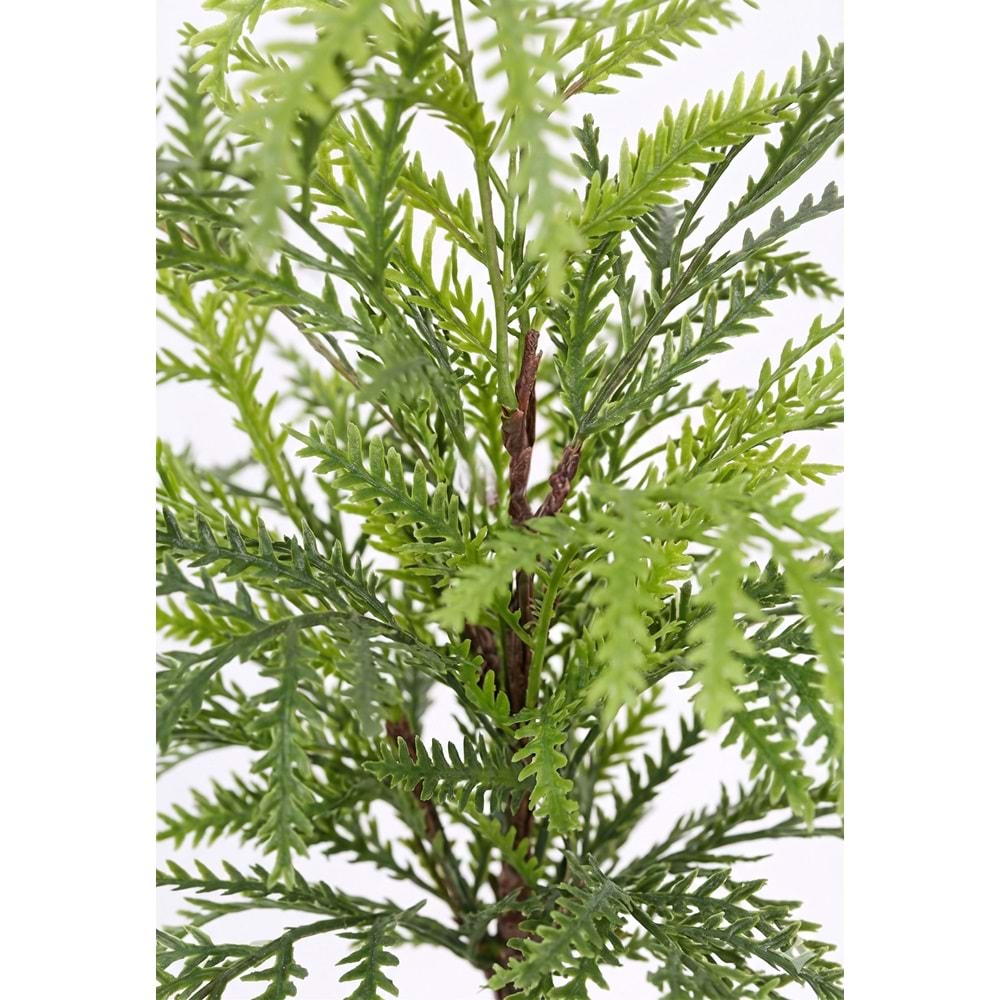 48 CM DEMET BİTKİ