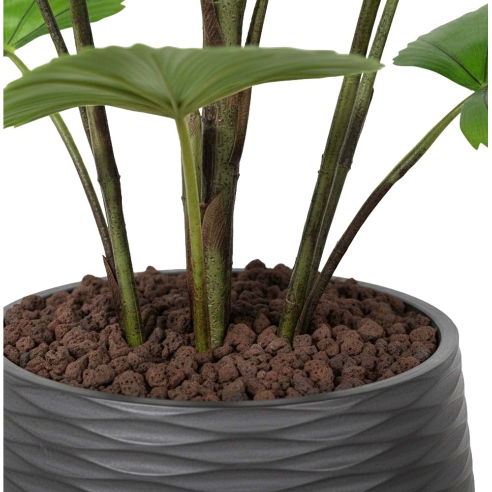 120 CM CIRCULAR PALM