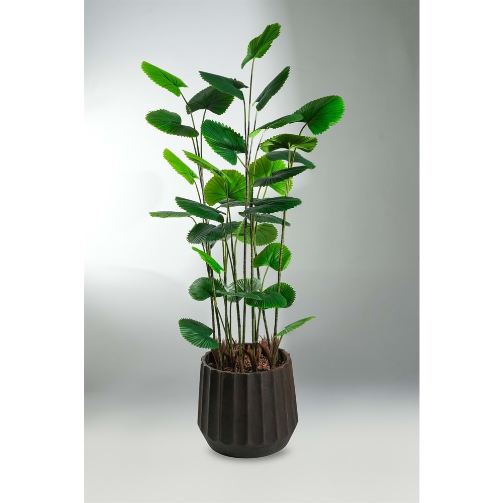 195 CM CIRCULAR PALM