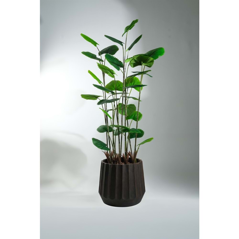 195 CM CIRCULAR PALM