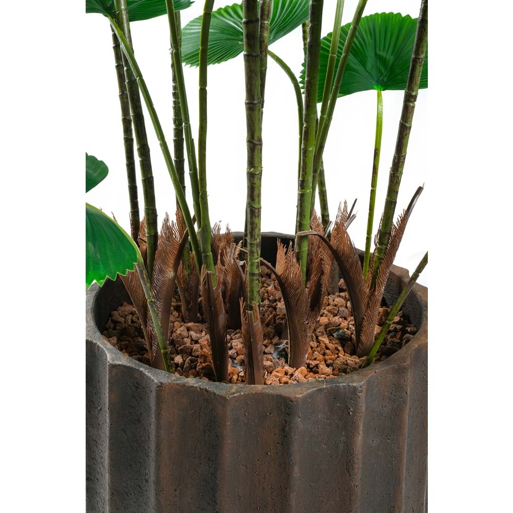 195 CM CIRCULAR PALM