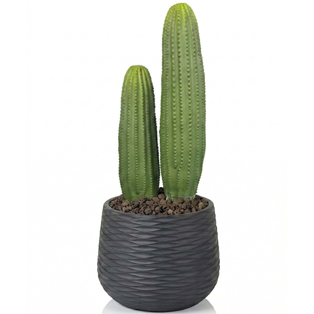 58 CM KAKTÜS
