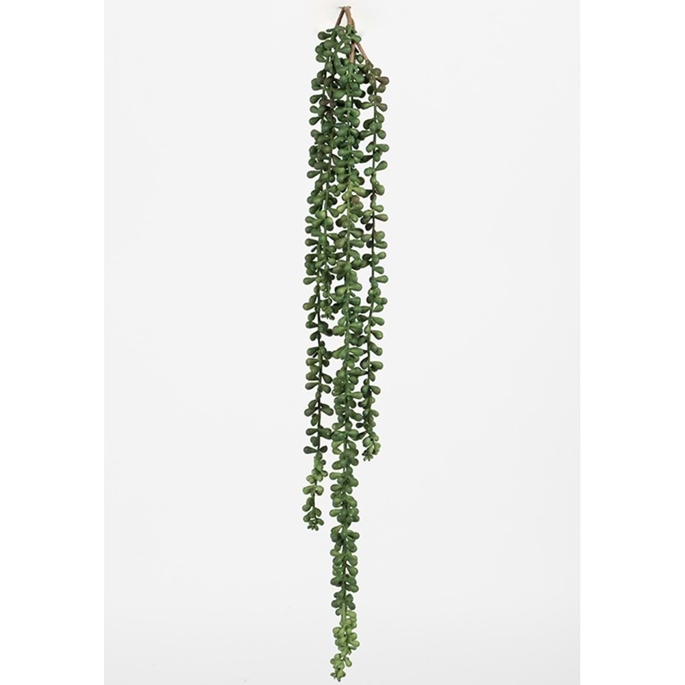 80 CM PLUM SARMAŞIK