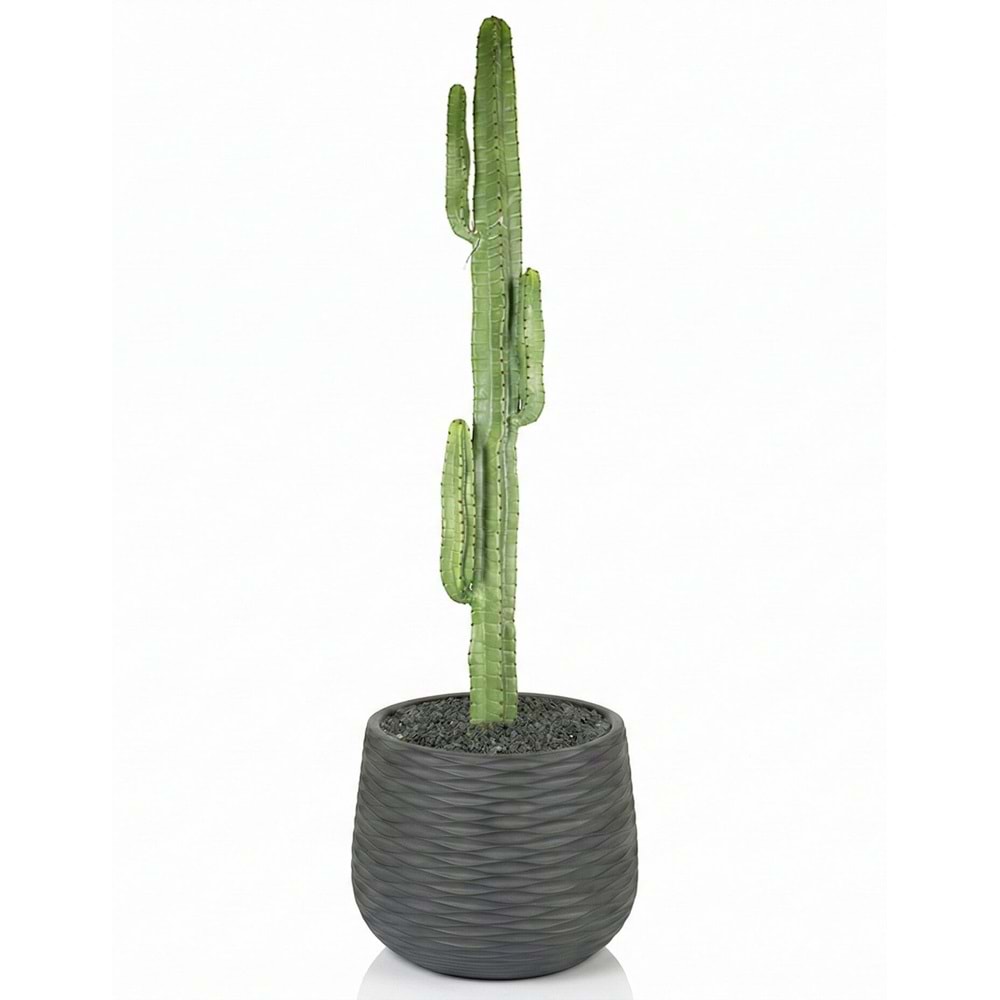 108 CM KAKTÜS