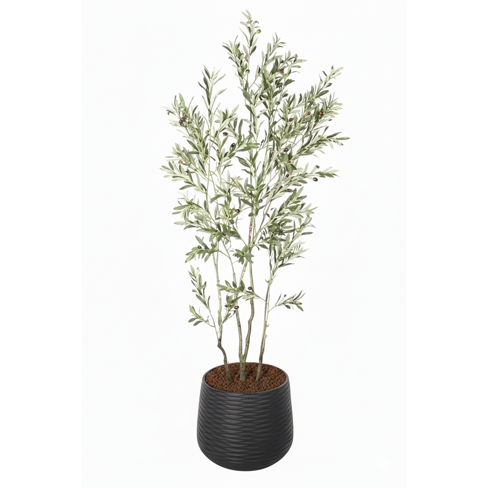 210 CM ZEYTİN AĞACI