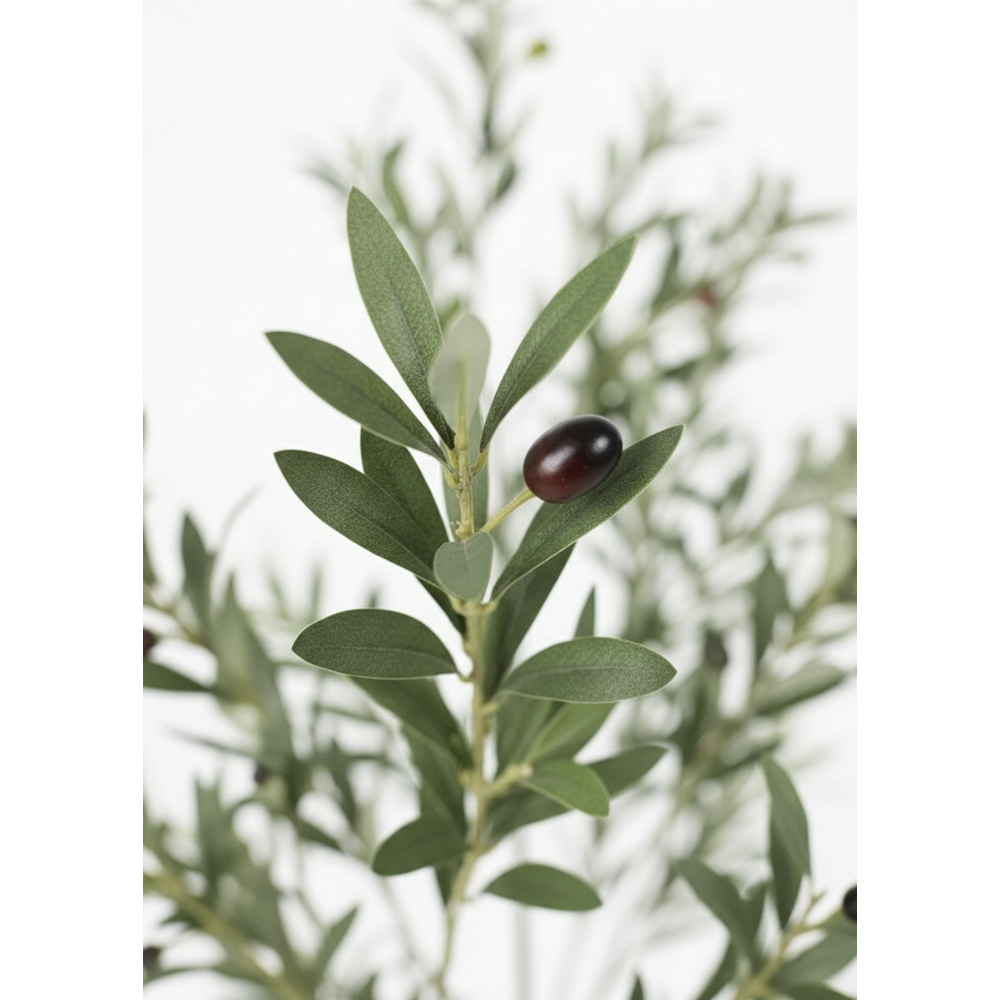 210 CM ZEYTİN AĞACI