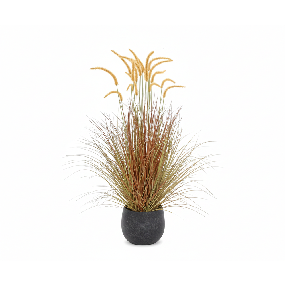 124 CM DOGTAIL GRASS