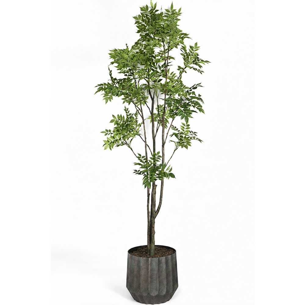250 CM LACGUER