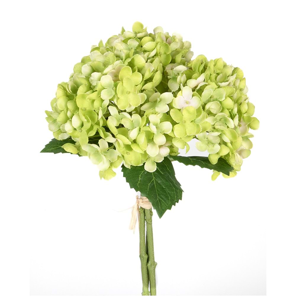 ORTANCA YEŞİL 34 CM