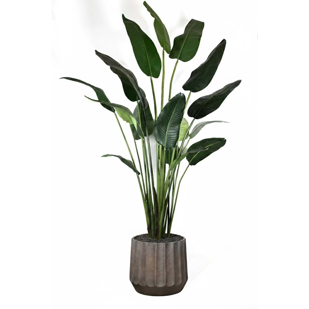 310 CM STARLİÇE 18 LVS