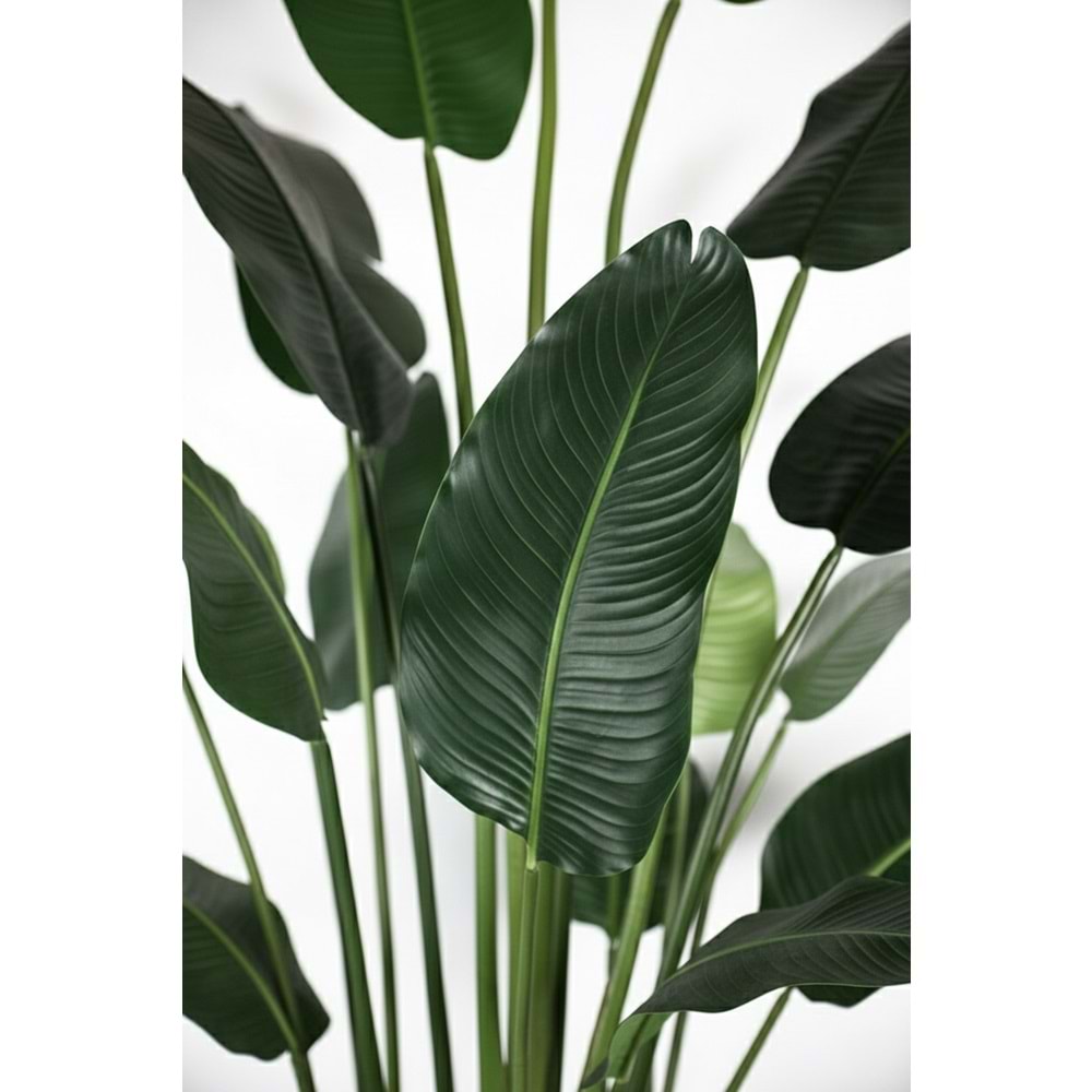 310 CM STARLİÇE 18 LVS