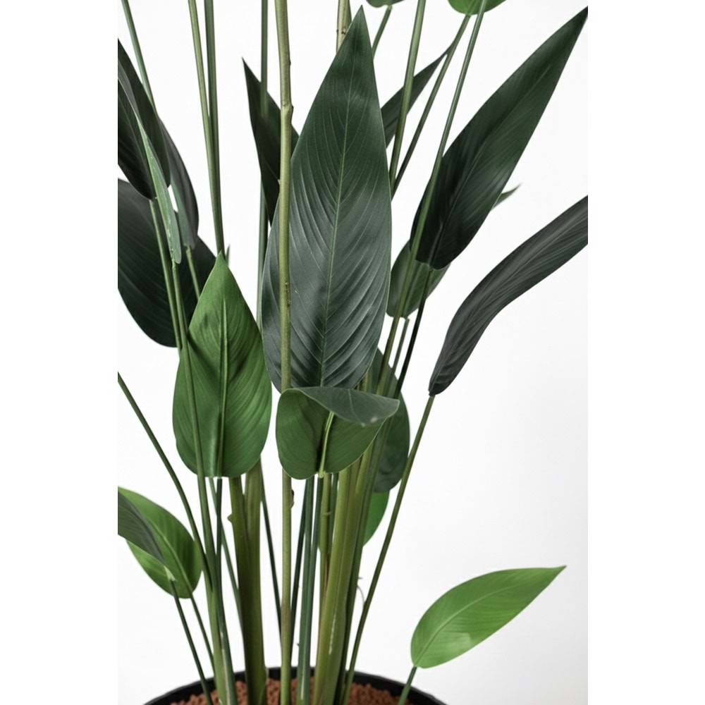182 CM STARLİÇE 26 LVS