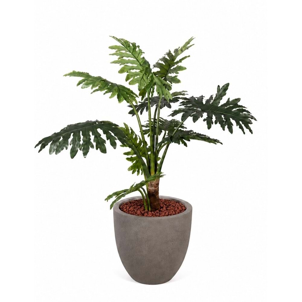 110 CM PHILODENDRON 10 LVS