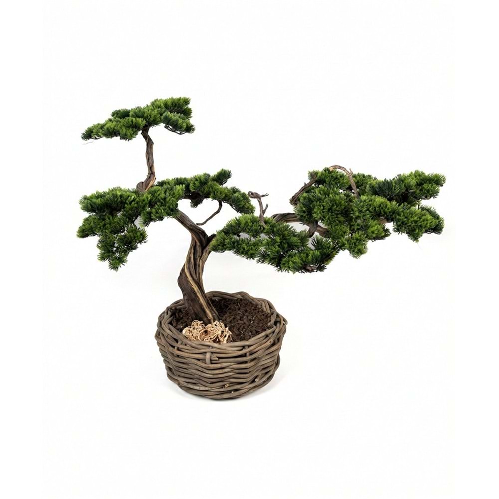 90 CM SAKSILI BONSAI AĞAÇ
