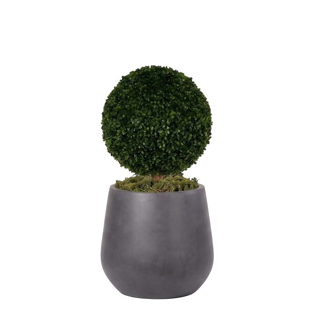 35 CM TOP ŞİMŞİR