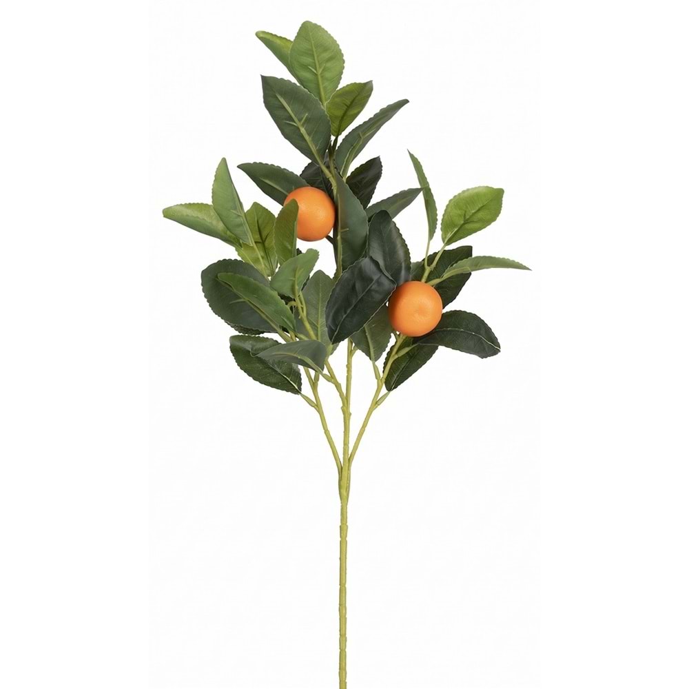 50 CM PORTAKAL DALI