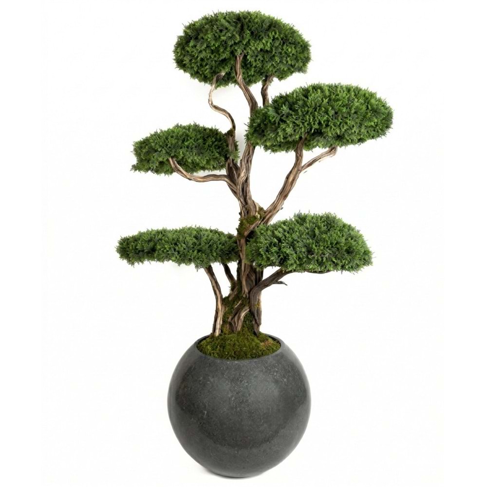 180 CM SAKSILI 5 KAFA BONSAI
