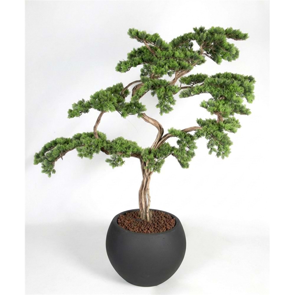 110 CM SAKSILI BONSAI