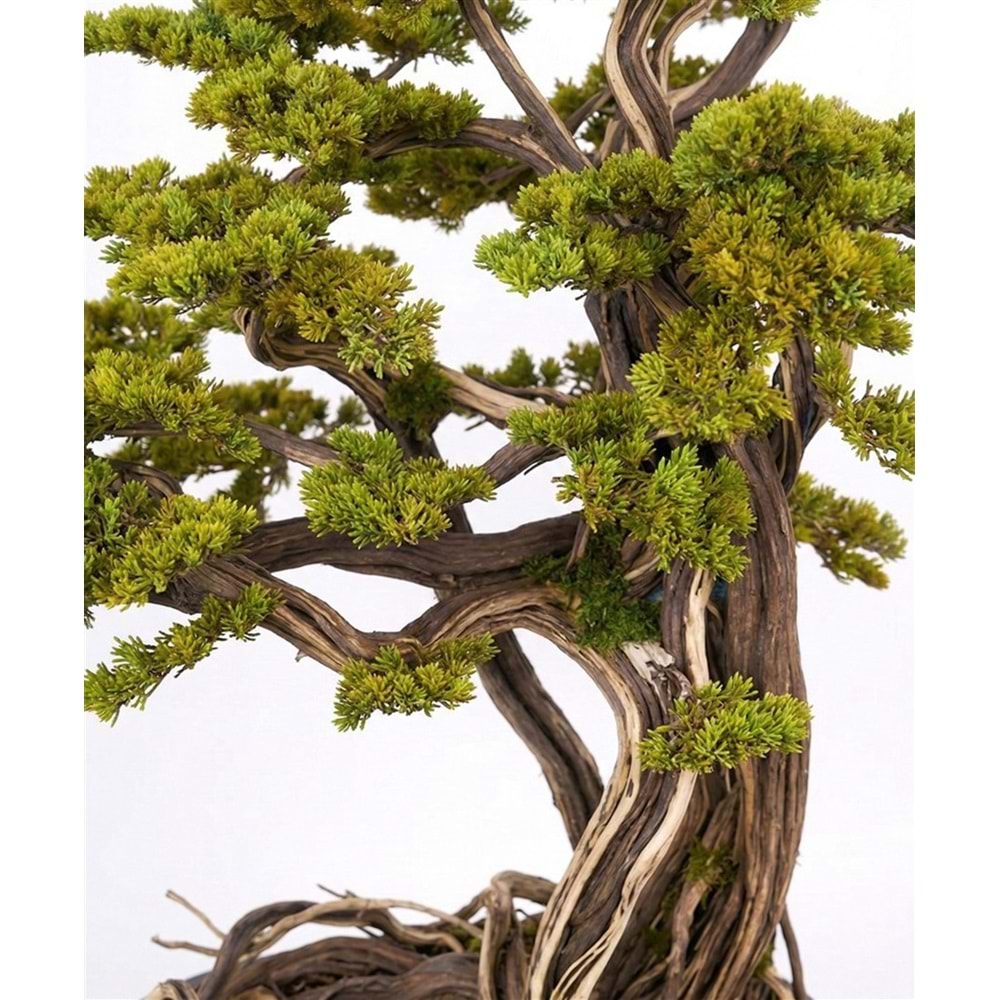190 CM SAKSILI BONSAI