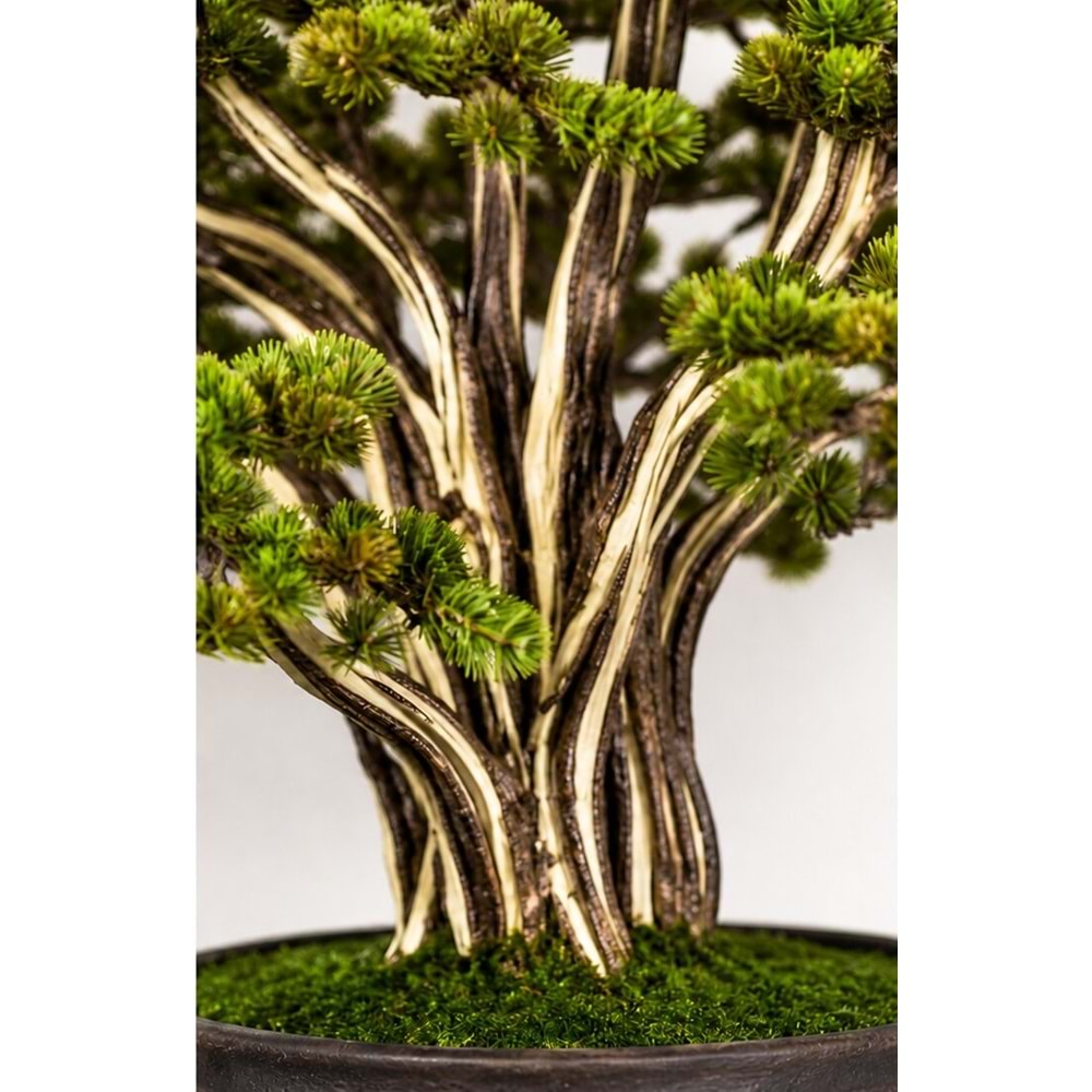 BONSAI HAYAT AĞACI H:210 CM