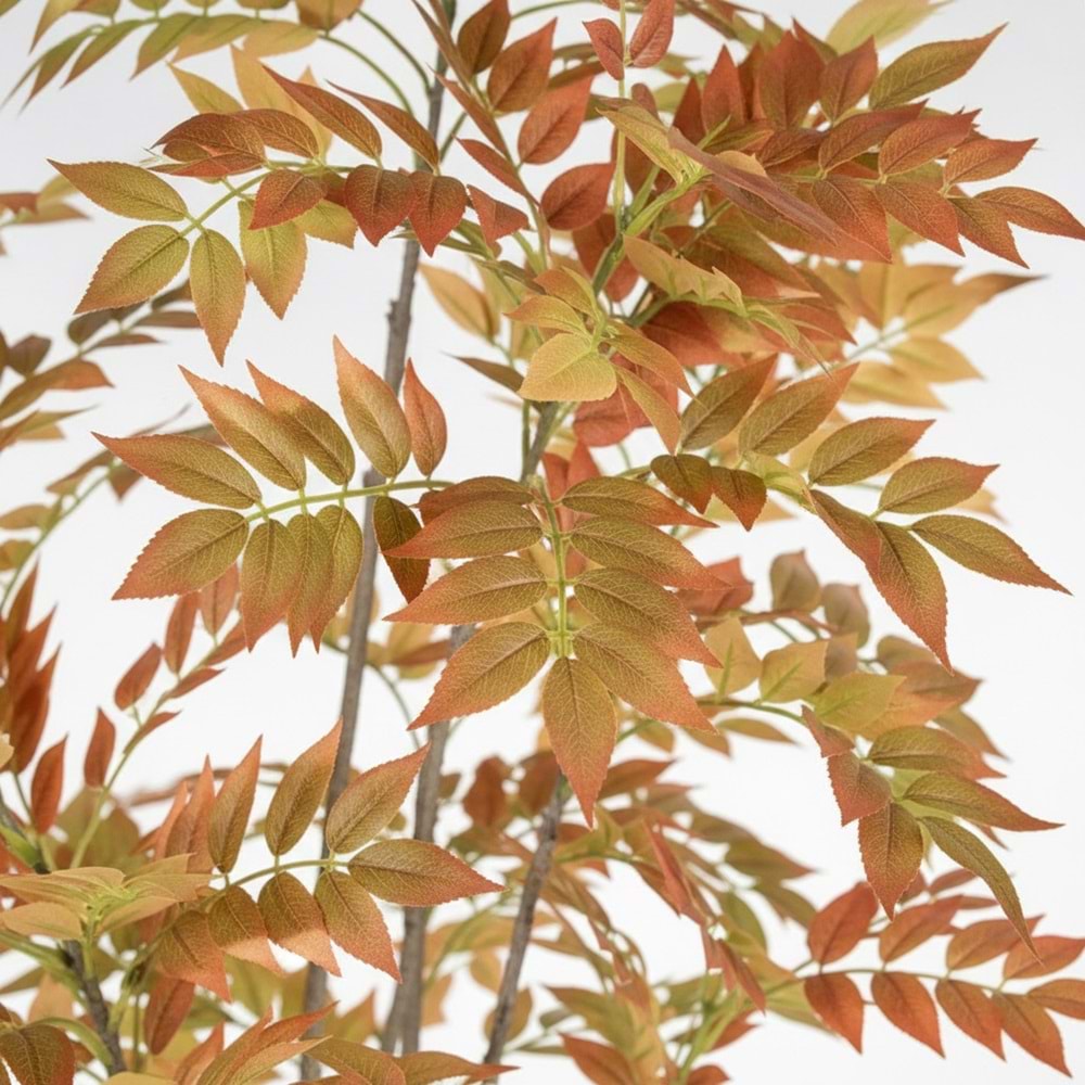 180 CM KAHVERENGİ AGAÇ