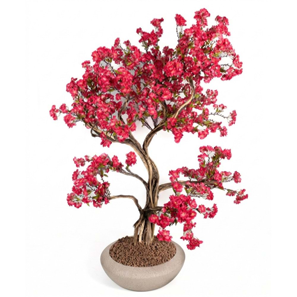 230 CM SAKSILI BONSAI