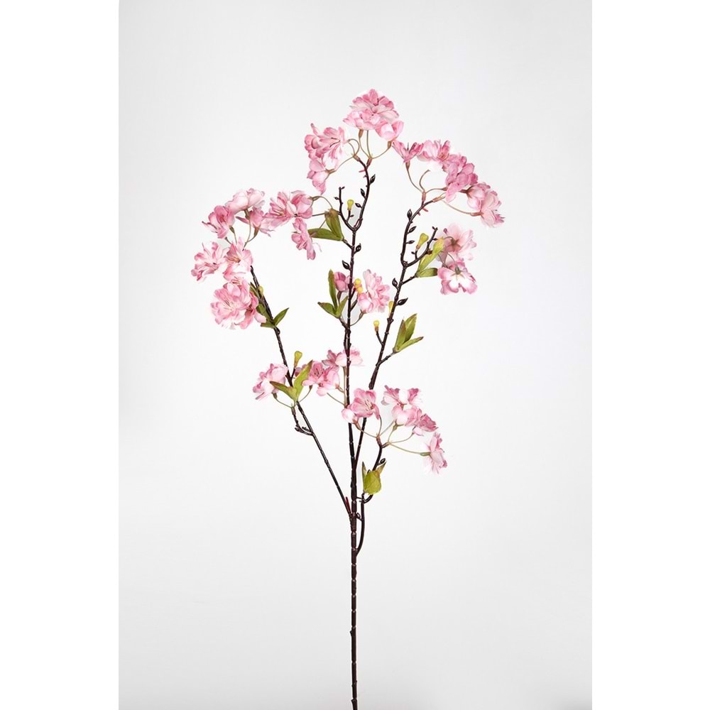 AÇIK PEMBE BAHAR DALI