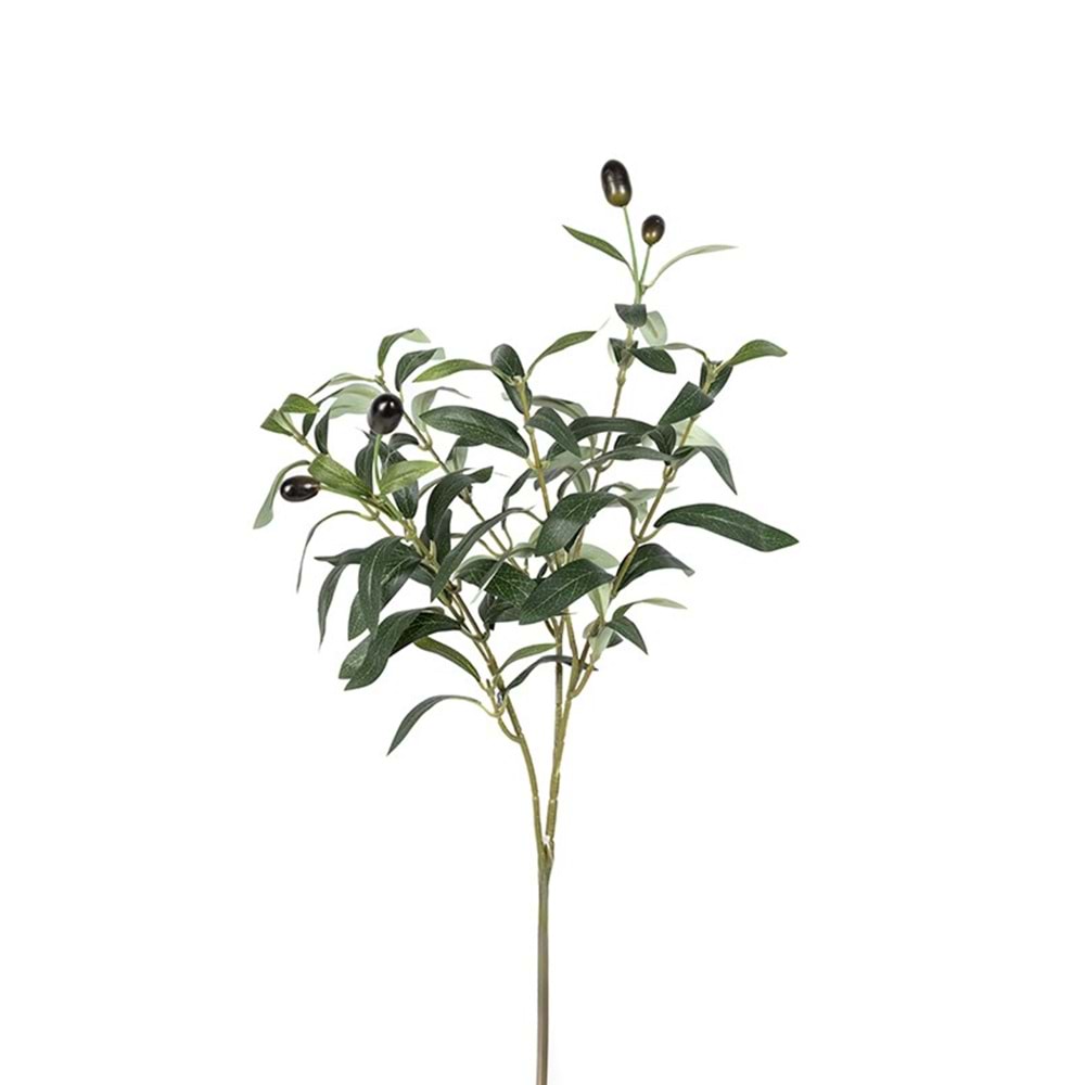 50 CM ZEYTİN DALI