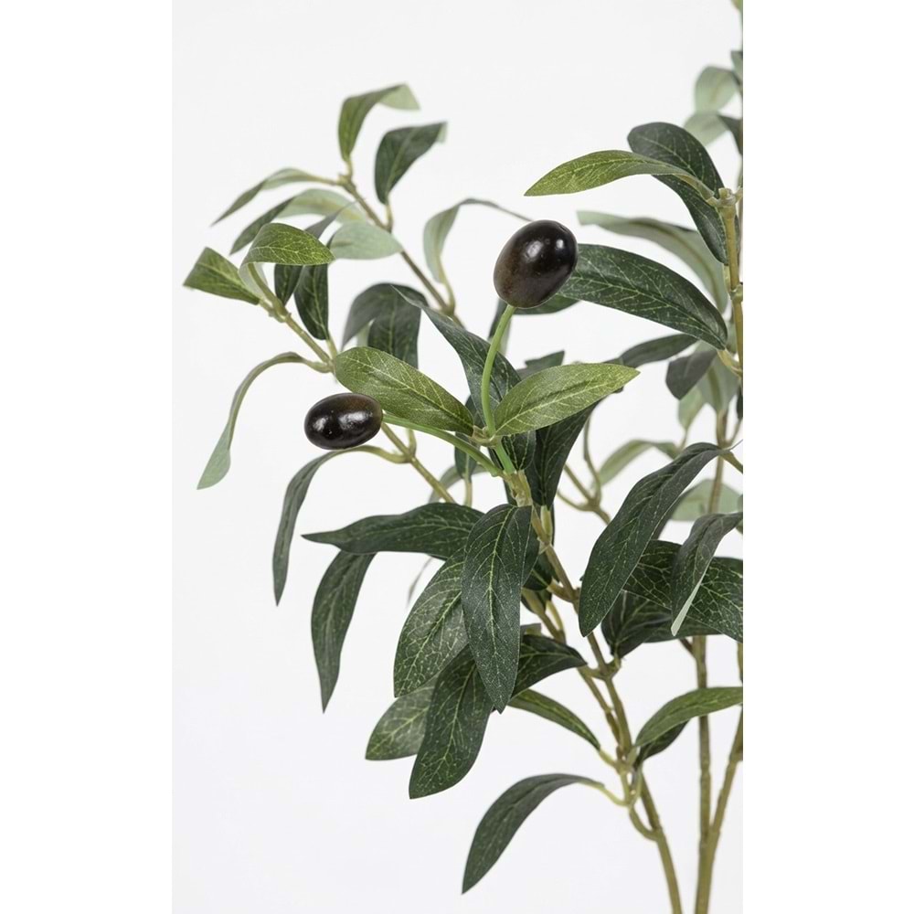 50 CM ZEYTİN DALI