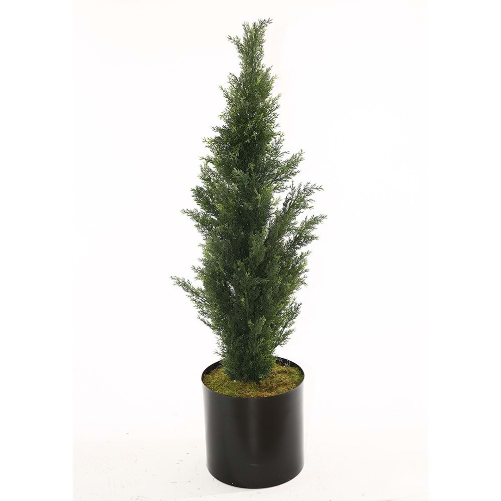 UV 120 CM CEDAR TREE