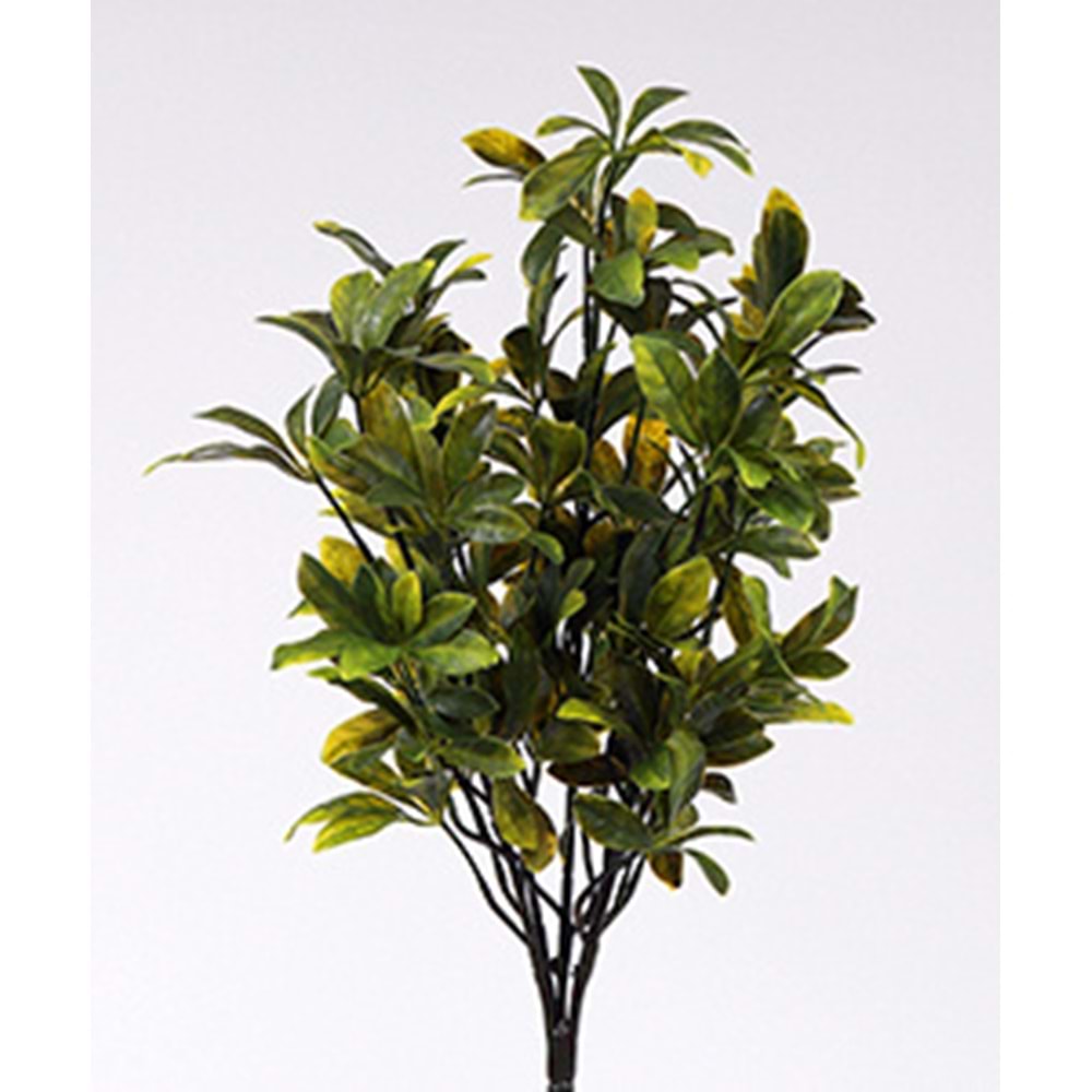 UV 52 CM PAWPAW SARI