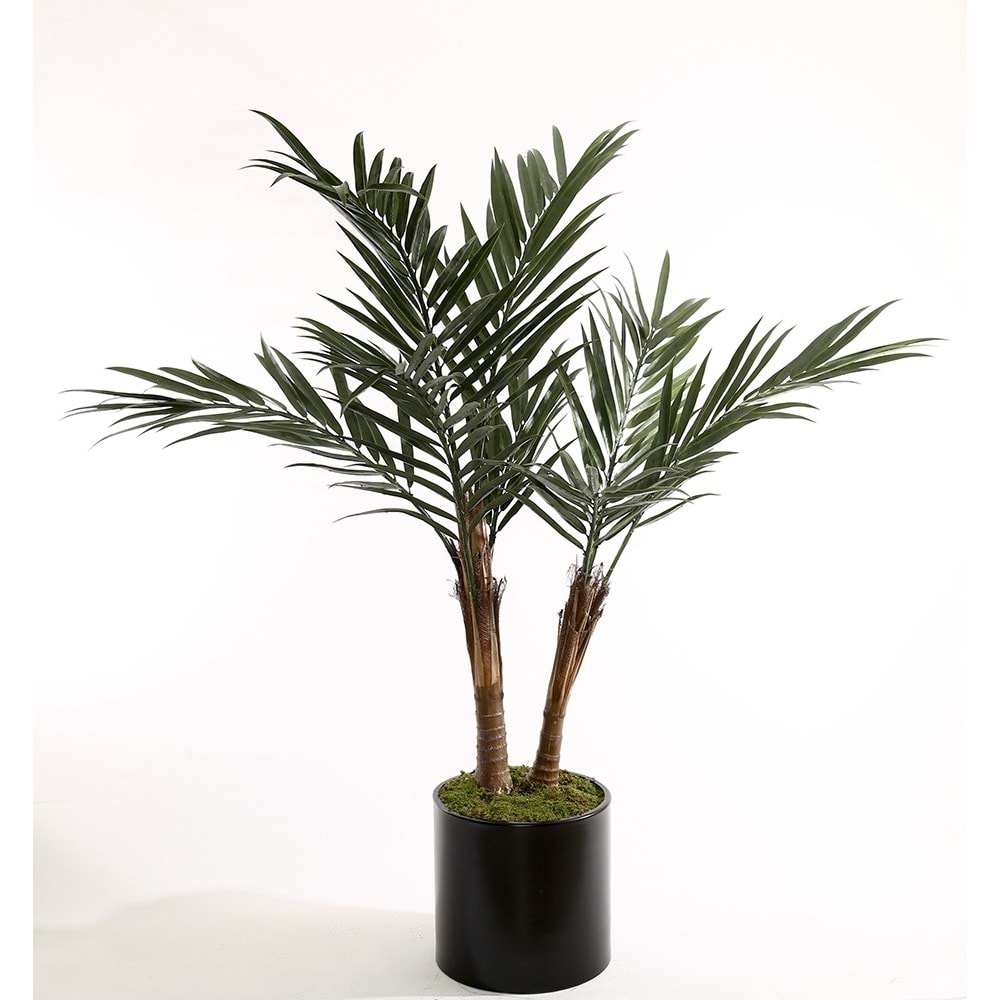 UV 180 CM KENTİA PALM