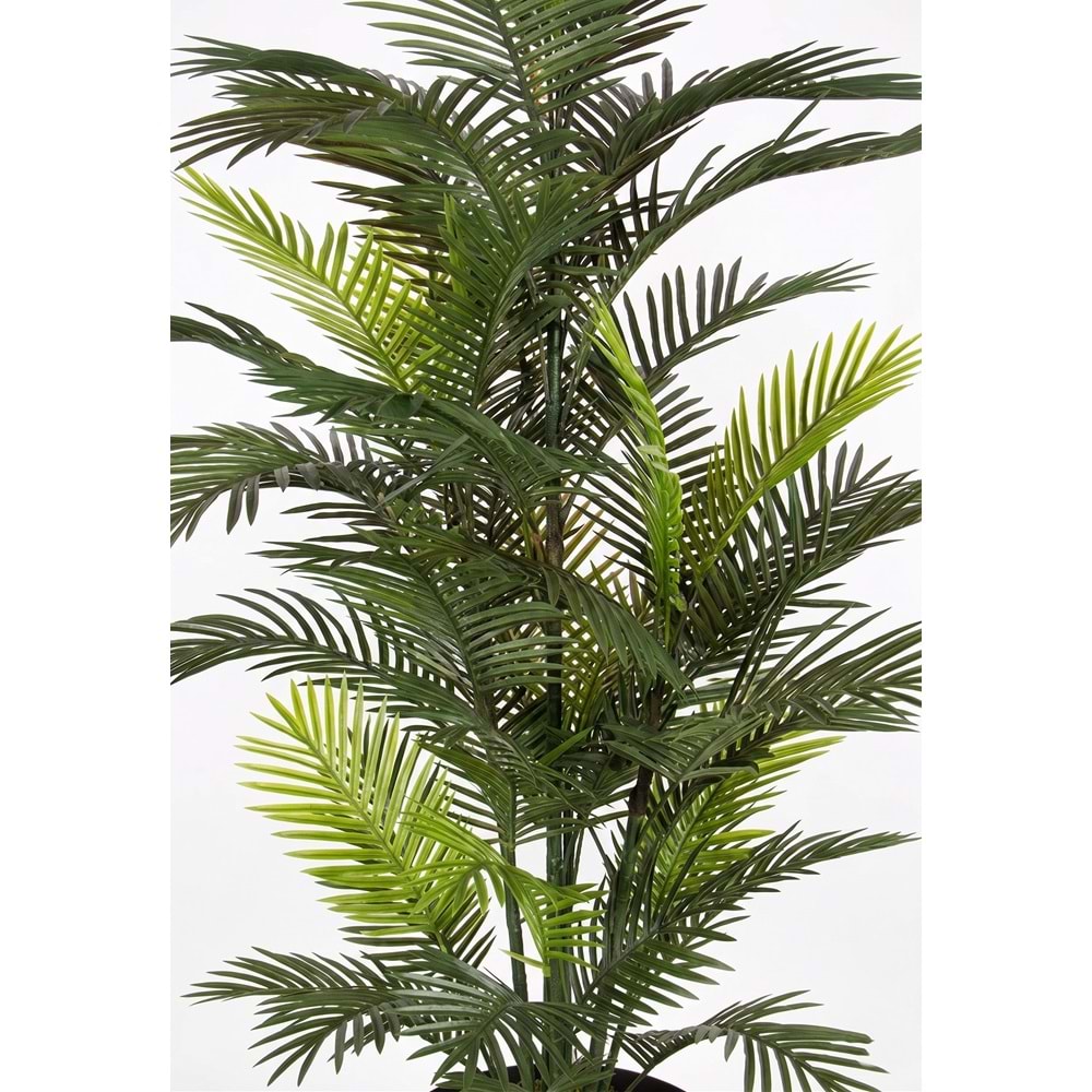 182 CM UV BIG ROBELLINI PALM