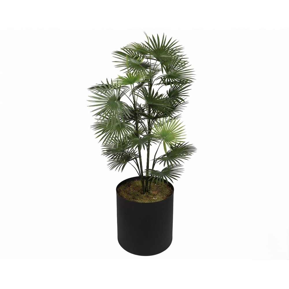 135 CM UV FAN PALM