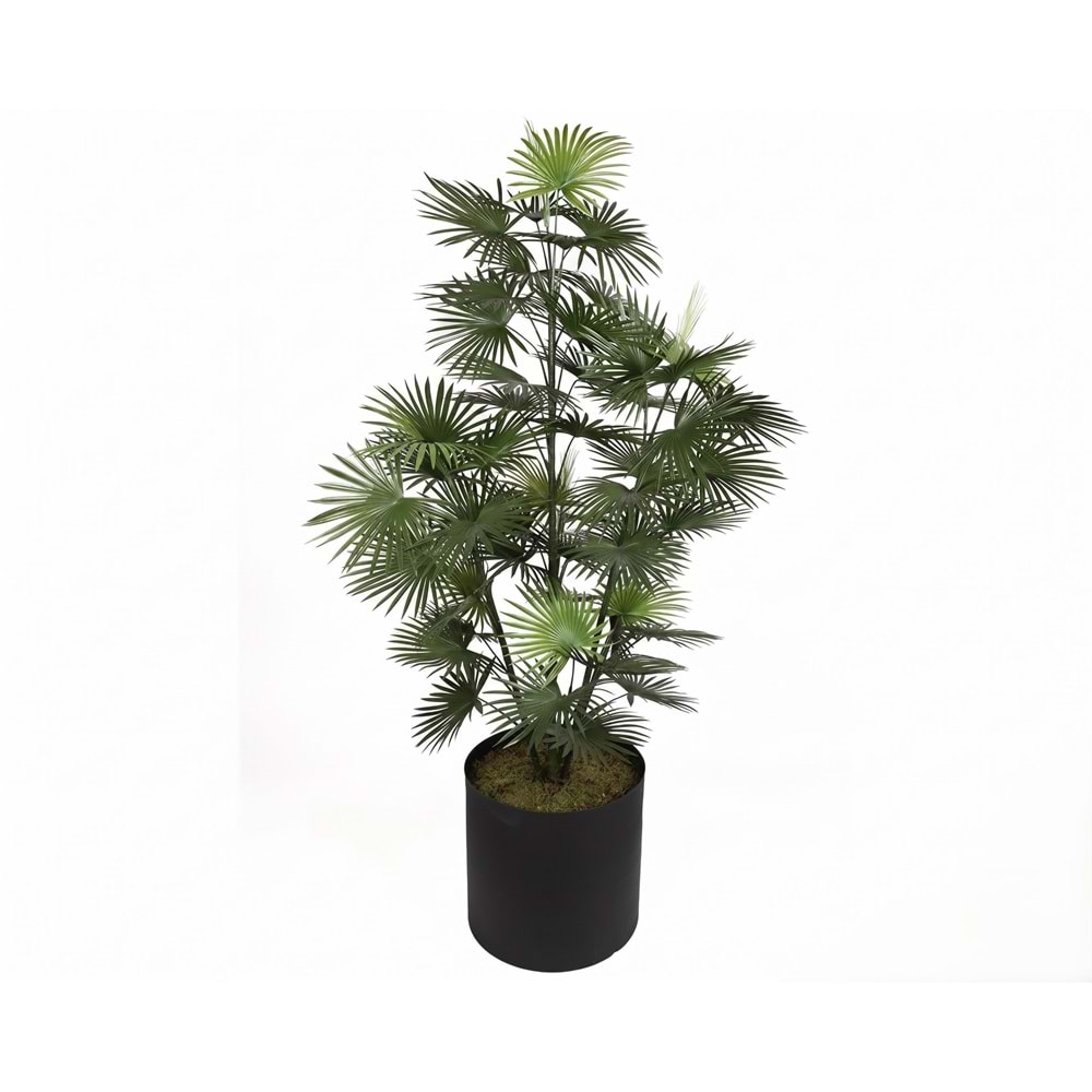 167 CM UV FAN PALM