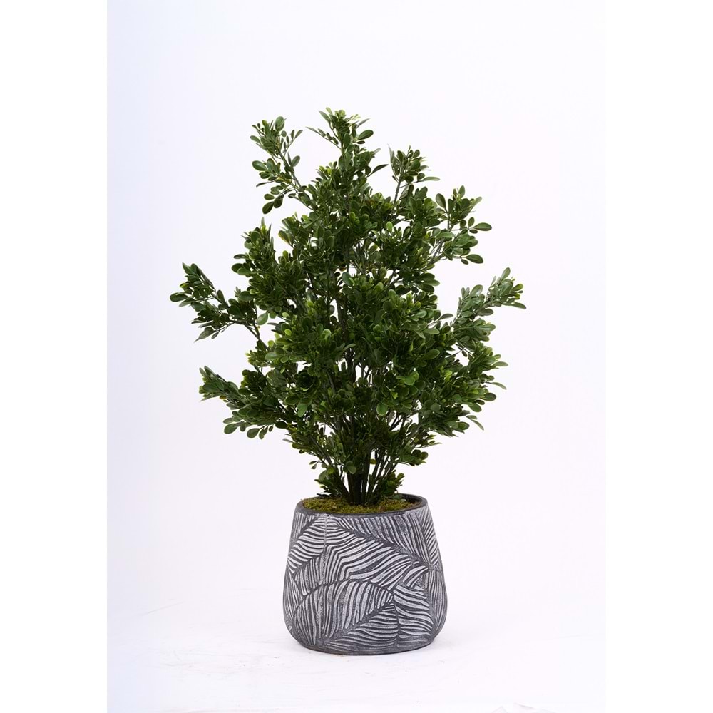 UV 78 CM TEA LEAF SPRAY