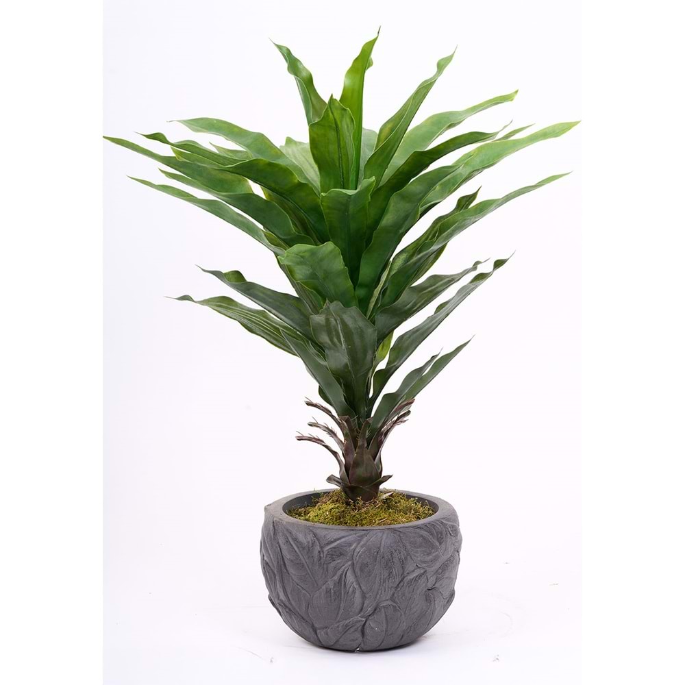 UV 76 CM AGAVE