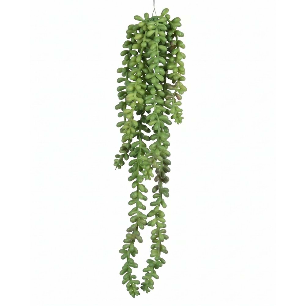 40 CM SARKAN BİTKİ