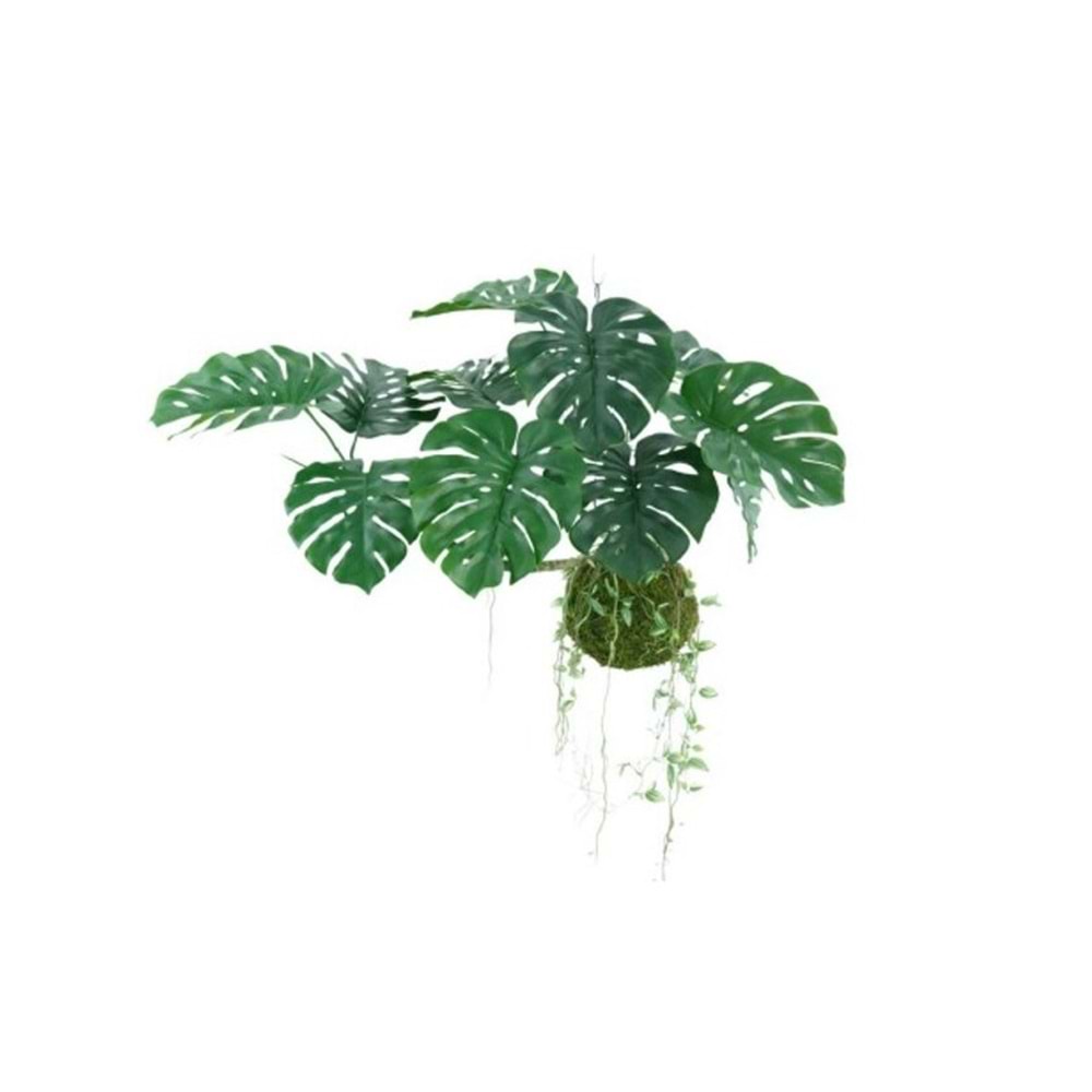 140 CM UÇAN MONSTERA