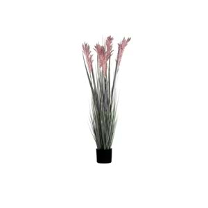 110 CM PAMPAS MOR