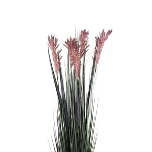 110 CM PAMPAS MOR