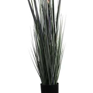 110 CM PAMPAS MOR