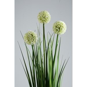 80cm TOP SAZ BEYAZ