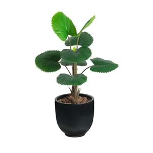 75 CM CIRCULAR PALM