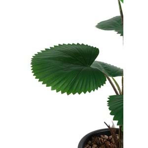 75 CM CIRCULAR PALM